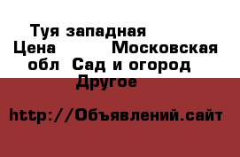 Туя западная Danica › Цена ­ 450 - Московская обл. Сад и огород » Другое   